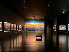 -罗红摄影艺术馆