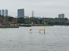 -海珠湖公园