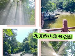 -北京西山国家森林公园