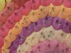 -观澜湖生态运动公社