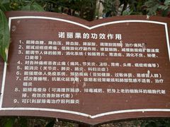 -西双版纳傣族园