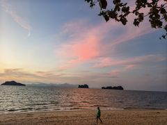 -Scarborough Fish & Chips- Tanjung Rhu