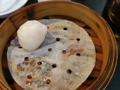 -添运来(茶园奥园广场店)