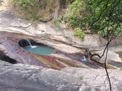 -广州白江湖森林公园