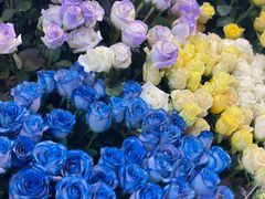 -越秀西湖花市(广州城市广场花卉店)