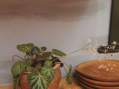 -泰菩提树下·泰式按摩SPA(沙坡尾店)