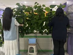 -佛山复星禅诚医院