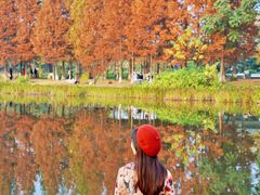 -白鹭湾湿地公园