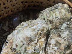 -蚝堡海鲜·威海菜·海肠捞饭·烧烤·亚洲吃蚝公司(幸福门店)