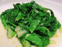 有机青菜苗-马仕玖煲·融合菜·酥不腻烤鸭(人大店)