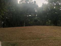 -晓港公园
