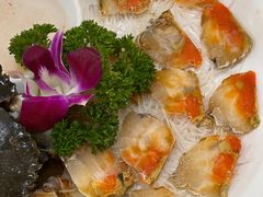 -官塘陈记鱼生·潮汕砂锅粥·牛肉火锅(潮枫路总店)