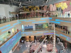 -安徽省地质博物馆