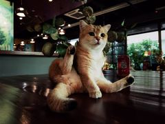 -咖法森林·咖啡  酒吧(天河店)