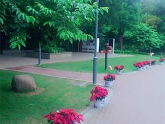 -金鸡山公园