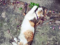-看书吧(体育东横路店)