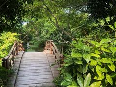 -桃花岛景观公园