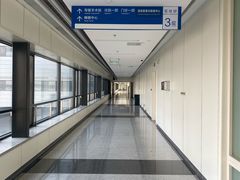 -首都医科大学附属北京天坛医院