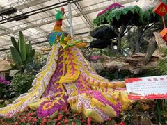 -兰陵国家农业公园