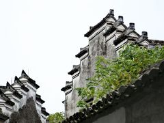 -鸣鹤古镇