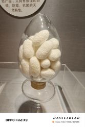 点击看大图 -太湖雪蚕桑文化园