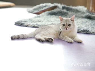 女儿很喜欢凯蒂猫，日常生活用品上都是凯蒂猫的图案