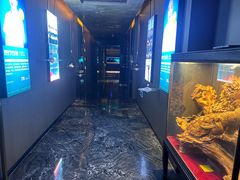 -索拉古贝(义乌北苑店)