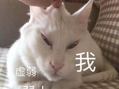 -第二外国语学院-韩国餐厅(朝阳路店)