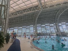 -广西体育中心-游泳馆