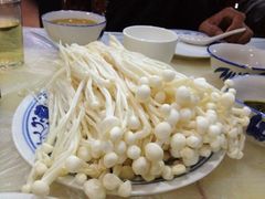 金针菇-鑫龙火锅城(经二纬四店)