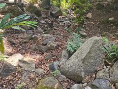 -火炉山森林公园