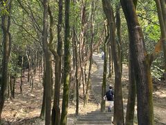 -火炉山森林公园