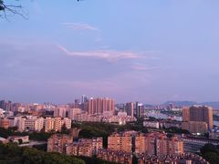 -福道