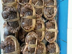 -宜宾海鲜酒家·三十年老字号