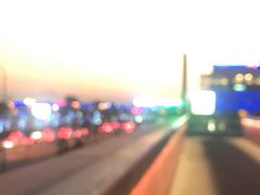 -望湘园·洞庭渔宴(浦江欢乐颂店)