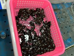 龙虱-高佬海鲜餐厅