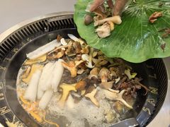 -野菌园·野生菌火锅首创第一家(关兴路总店)