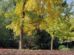 -西安汉城湖景区