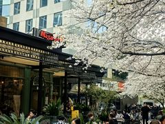 -玛格萝妮比萨屋(四平店)