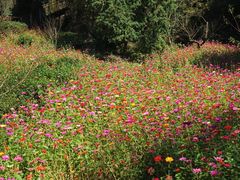 -浮山风景名胜区