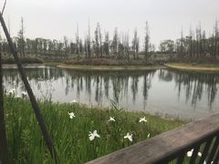 -三圣花乡旅游区