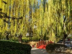 -玲珑塔公园