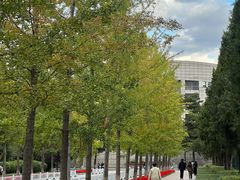 -东北大学(南湖校区)