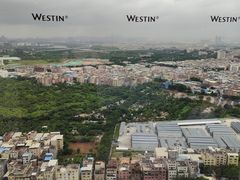 -广交会威斯汀酒店