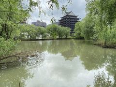 -长兴太湖图影湿地文化园