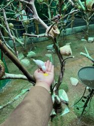 -Zoolung Zoolung动物主题公园(海信广场店)