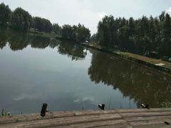 -白渔泡湿地公园