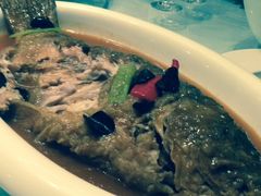 红烧黄河野生大鲤鱼-豫满楼(正光路店)