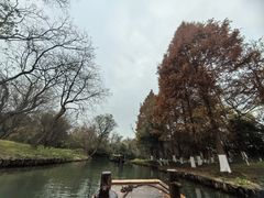 -西溪国家湿地公园