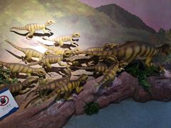 -安徽省地质博物馆